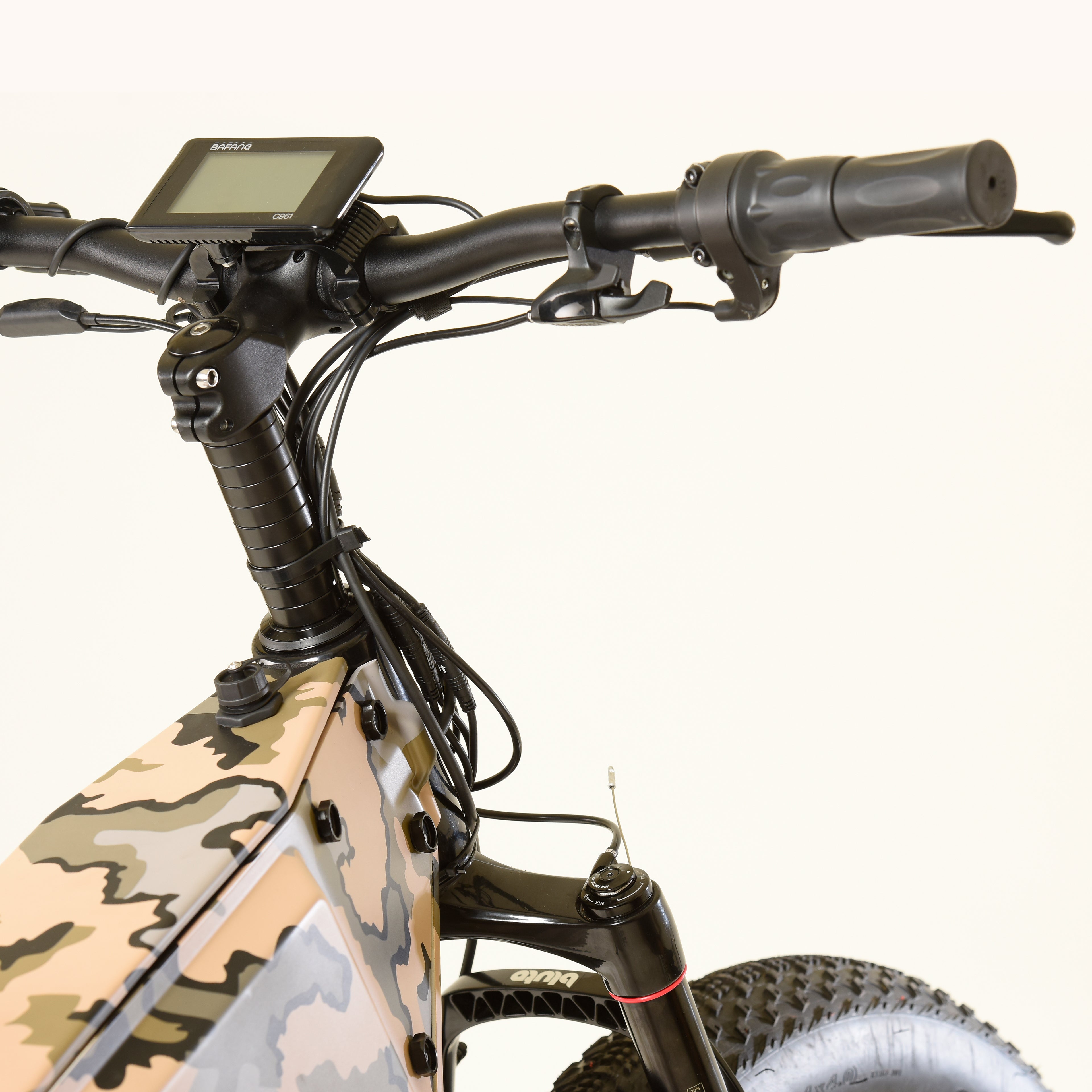 Forest Ranger Fat Ebike,Bafang Ultra 1000Watt Mid Motor