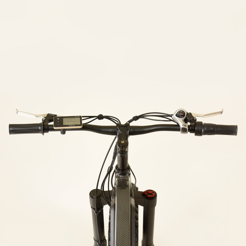 Fat Cross Country Ebike 1000Watt