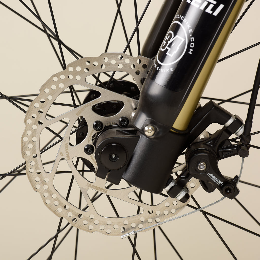 Fat Cross Country Ebike 1000Watt