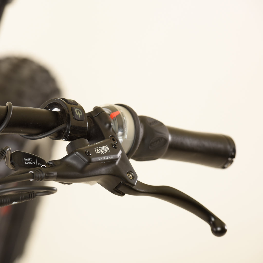 Raptor Fat Ebike,Bafang Ultra 1000Watt Mid Motor