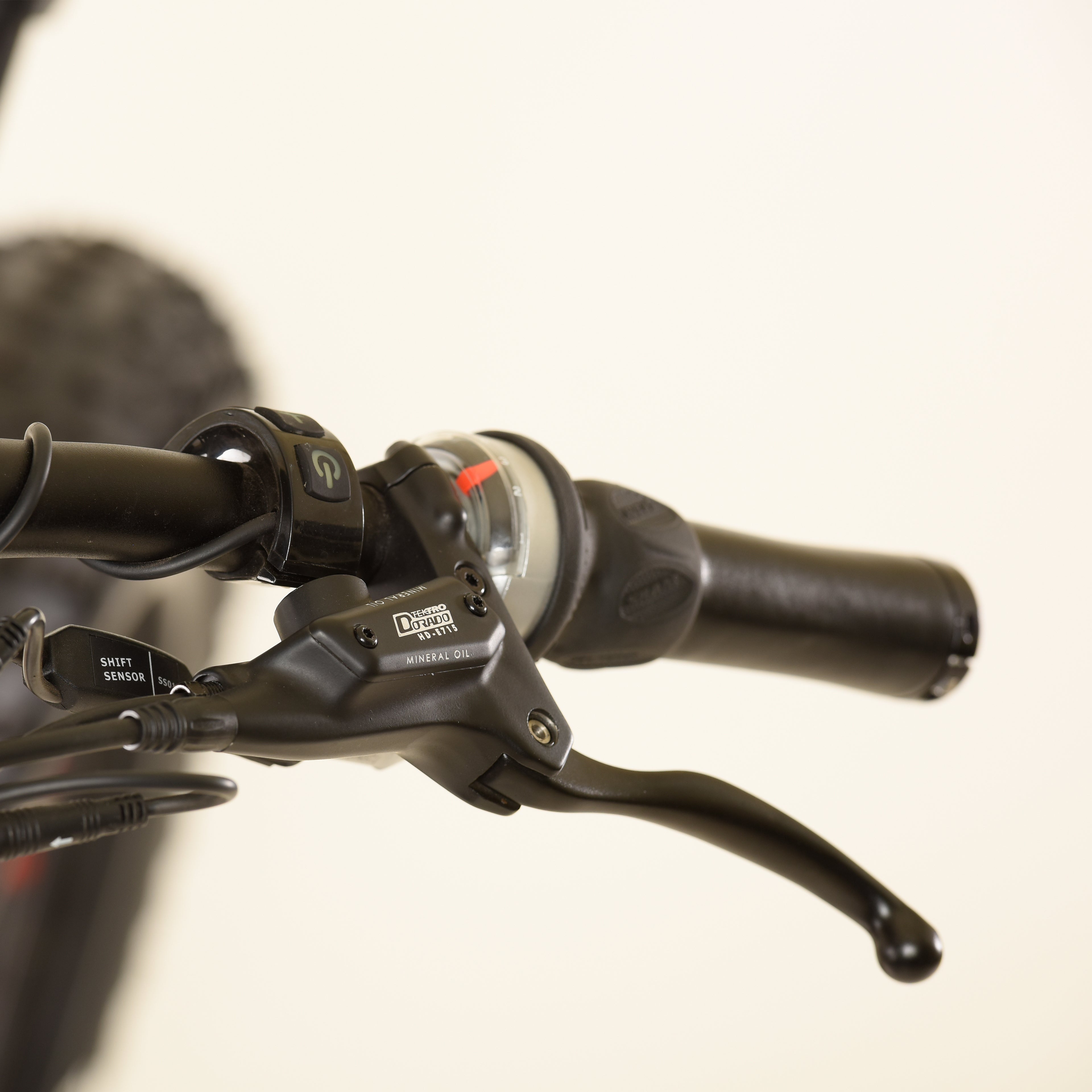 Raptor Fat Ebike,Bafang Ultra 1000Watt Mid Motor