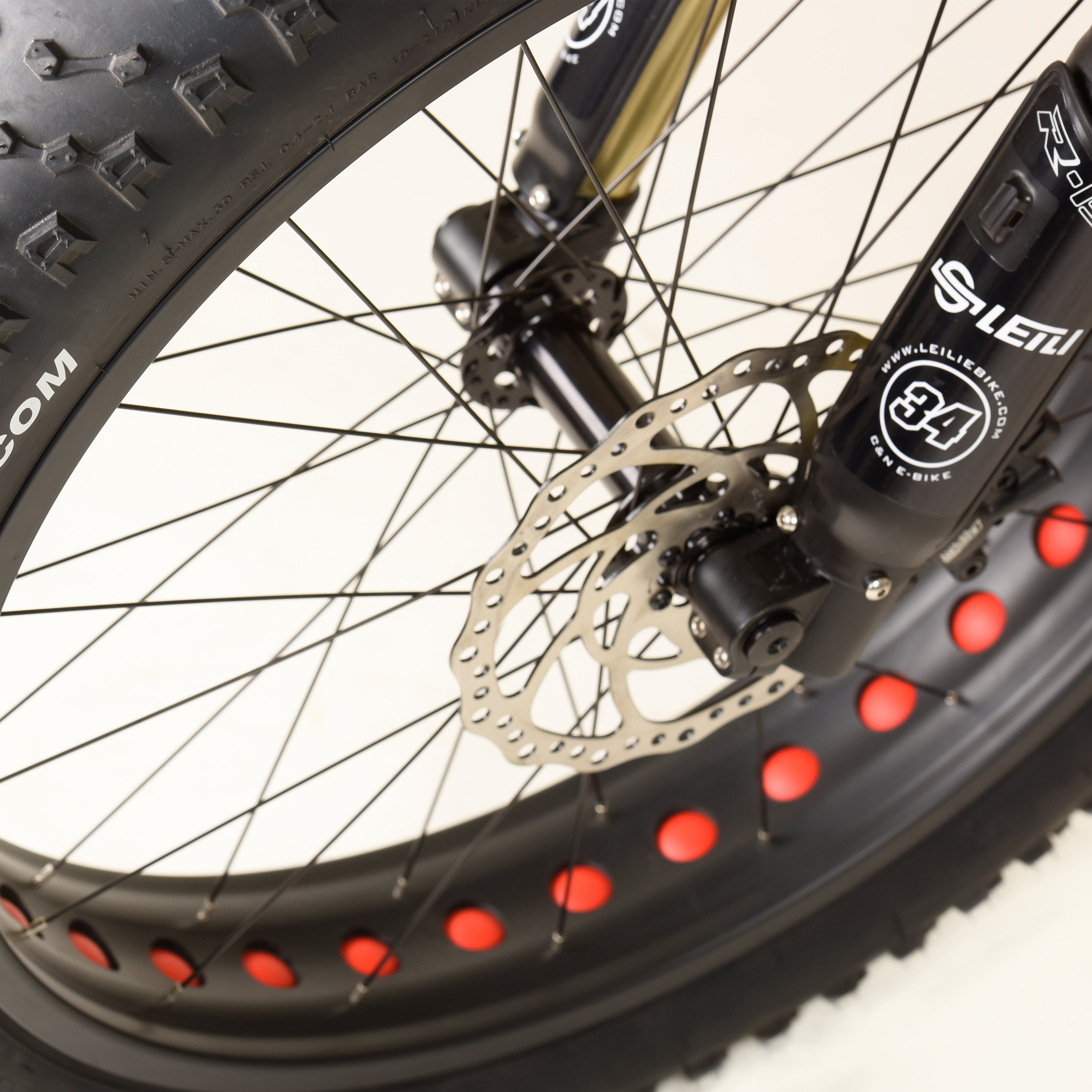 Raptor Fat Ebike,Bafang Ultra 1000Watt Mid Motor