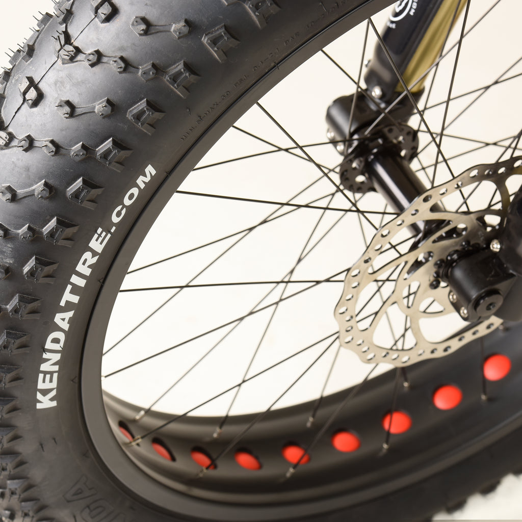 Raptor Fat Ebike,Bafang Ultra 1000Watt Mid Motor