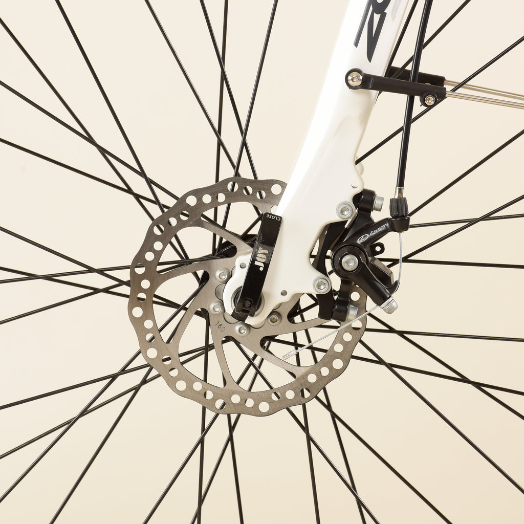 Urban Ebike 250 Watt 700c